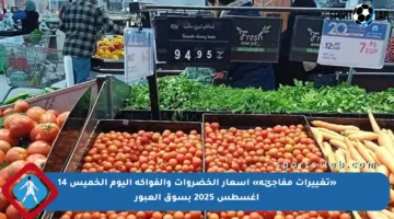 «تغييرات مفاجئة» أسعار الخضروات والفواكه اليوم الخميس 14 أغسطس 2025 بسوق العبور